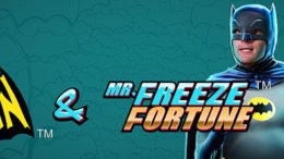 Slot machine Batman & Mr Freeze Fortune