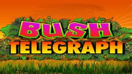 slot bush telegraph gratis