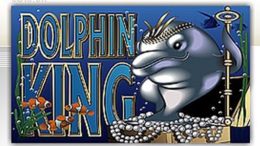 slot machine dolphin kig