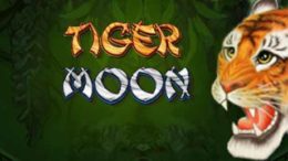slot machine online tiger moon