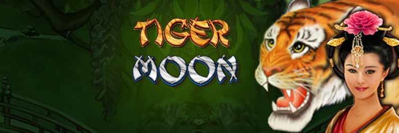 slot machine online tiger moon