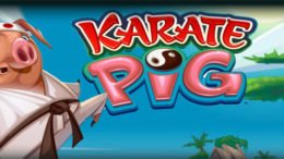 slot gratis karate pig