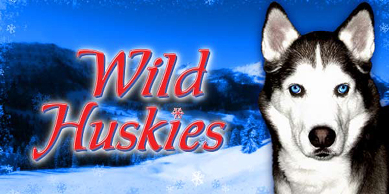 slot gratis Wild Huskies